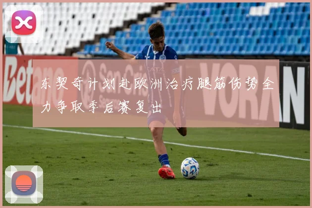 东契奇计划赴欧洲治疗腿筋伤势全力争取季后赛复出